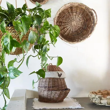 Il Vecchio Fienile Tatil Evi Dongo